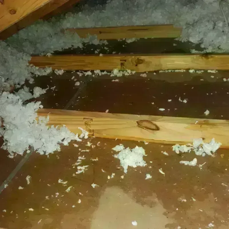 Attic Water Damage in Tok, AK