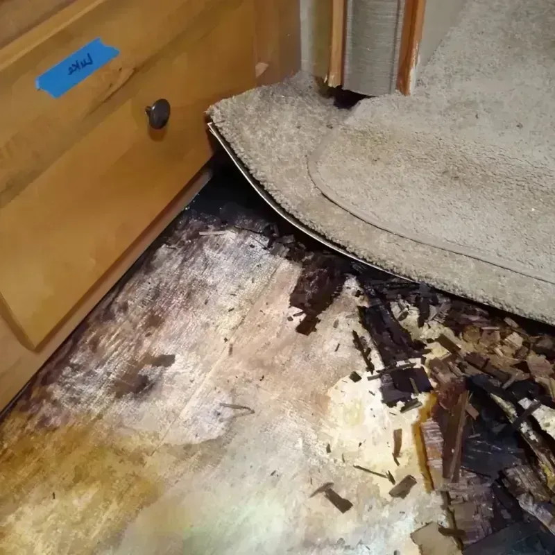 Wood Floor Water Damage in Tok, AK